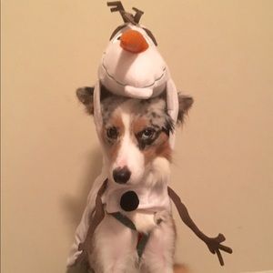 Disney Olaf Dog Costume Size L